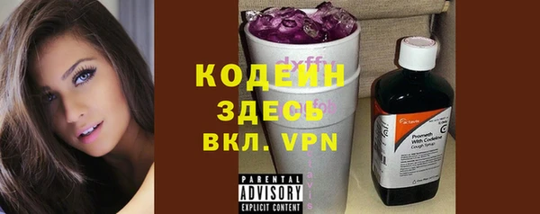 spice Каменка