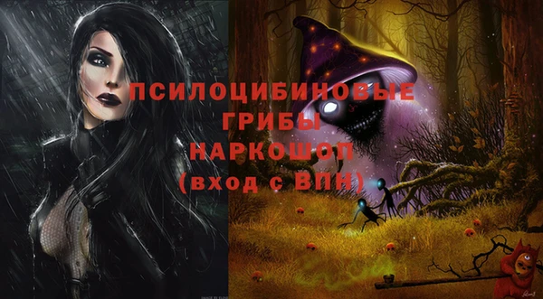 spice Каменка