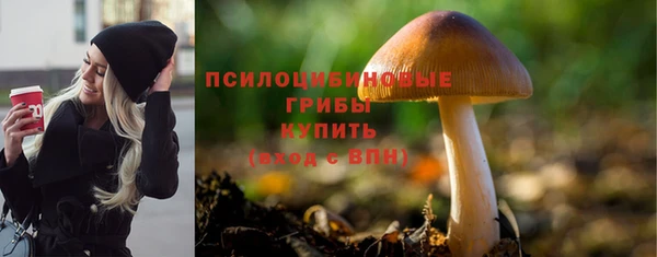 бутират Каменногорск