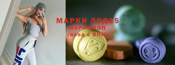 spice Каменка