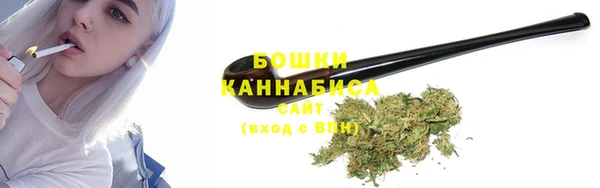 spice Каменка