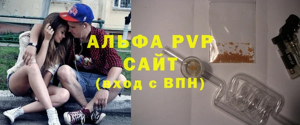 spice Каменка